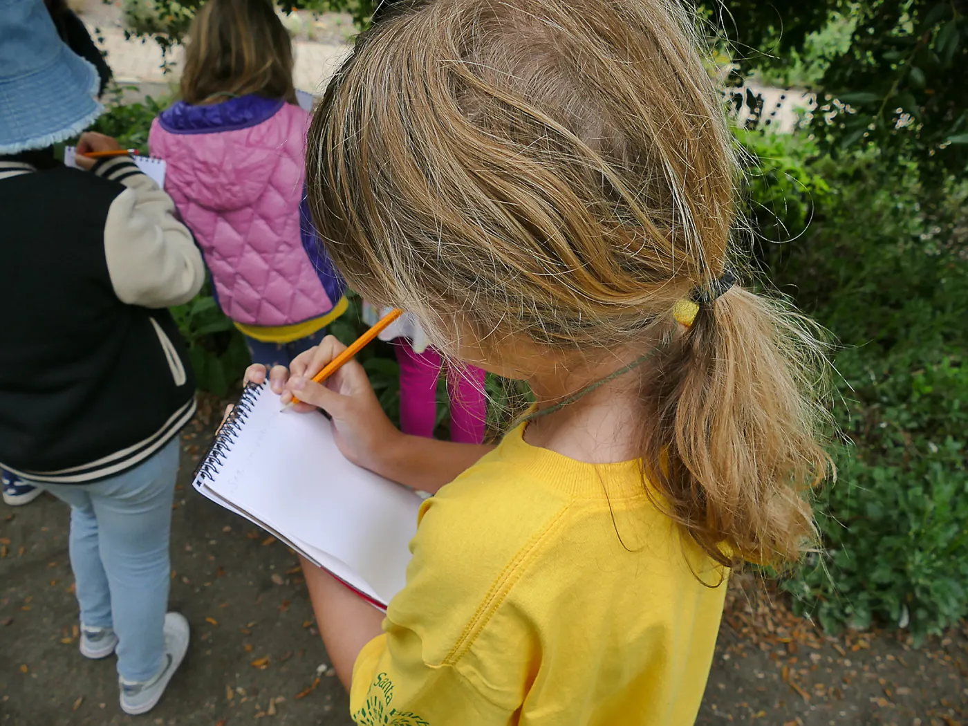 Neighbors in Nature Summer Camp, Plant identification and journaling activity