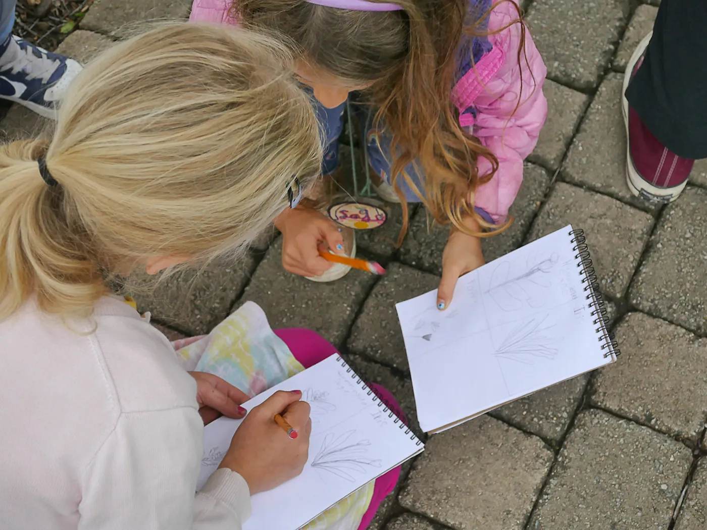 Neighbors in Nature Summer Camp, Plant identification and journaling activity