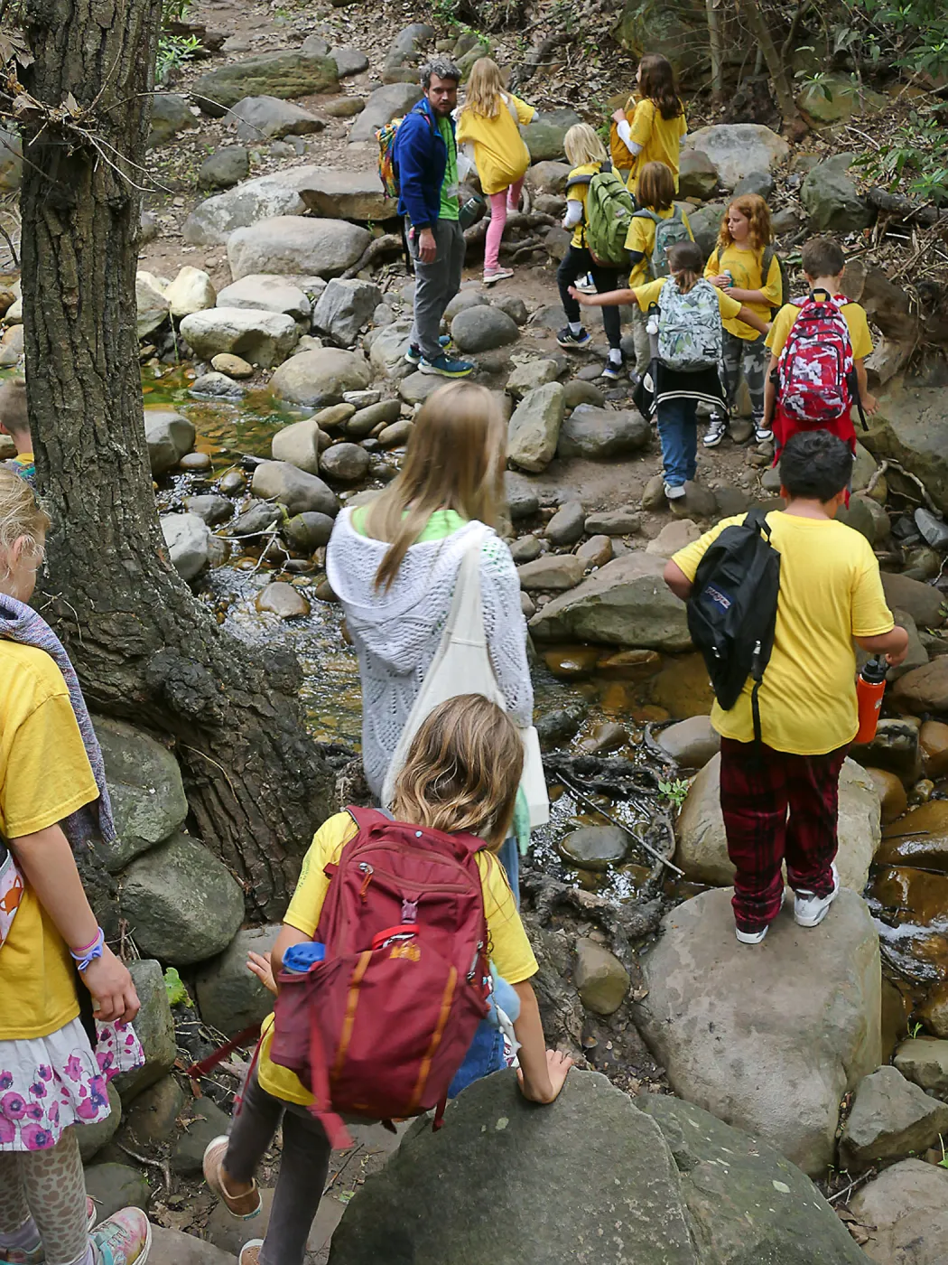 Neighbors in Nature Camp