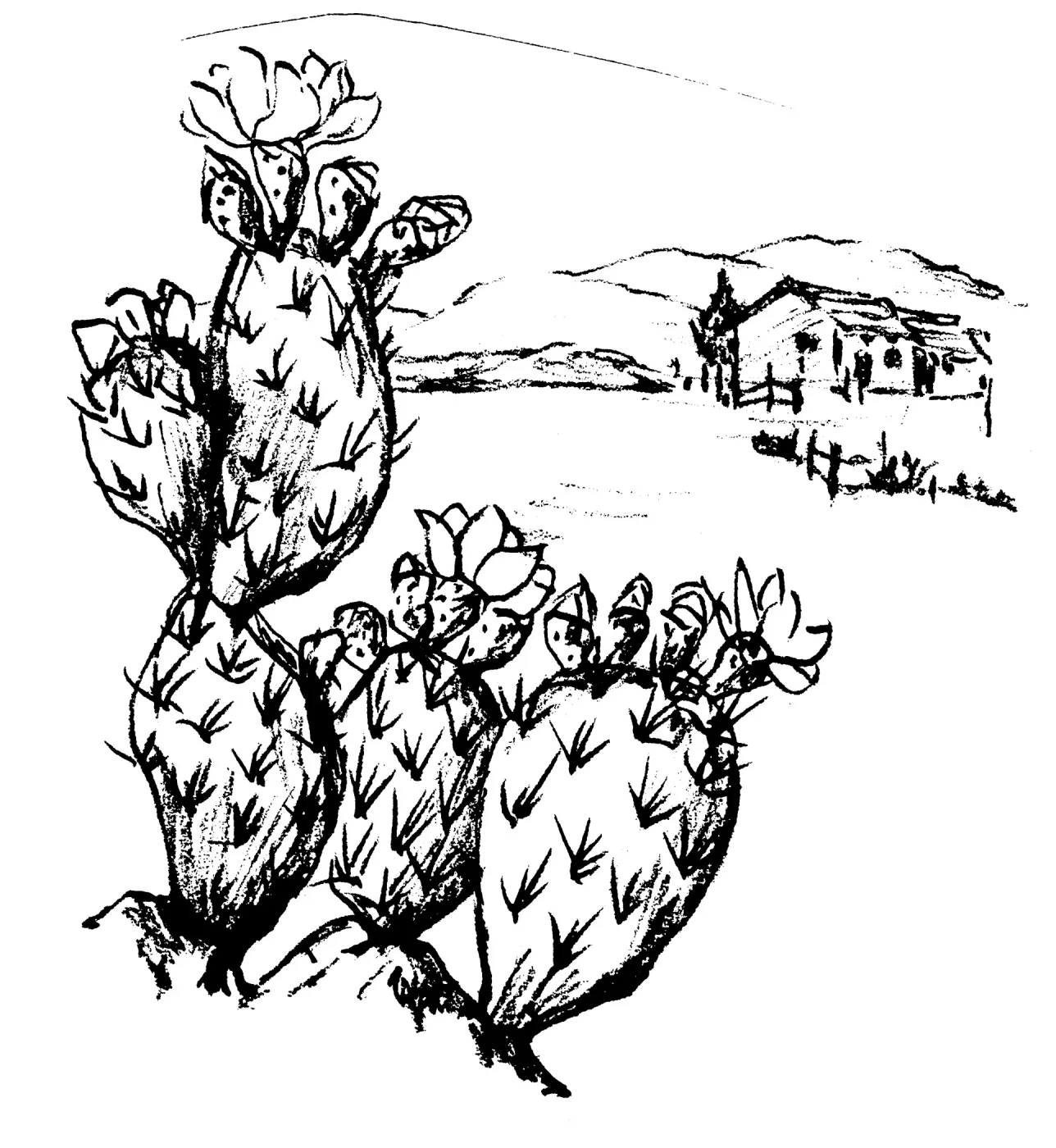 Prickly Pear, Cholla