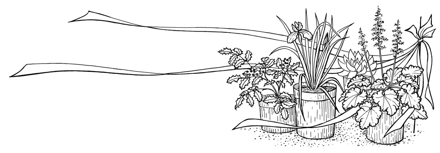 Gleanings Graphic (liveforevers) (Alumroot or coral bells)