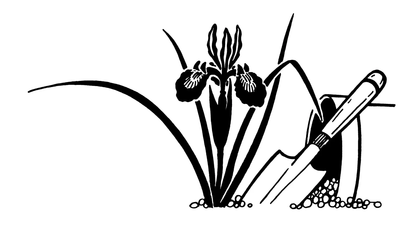 Cultivations Logo