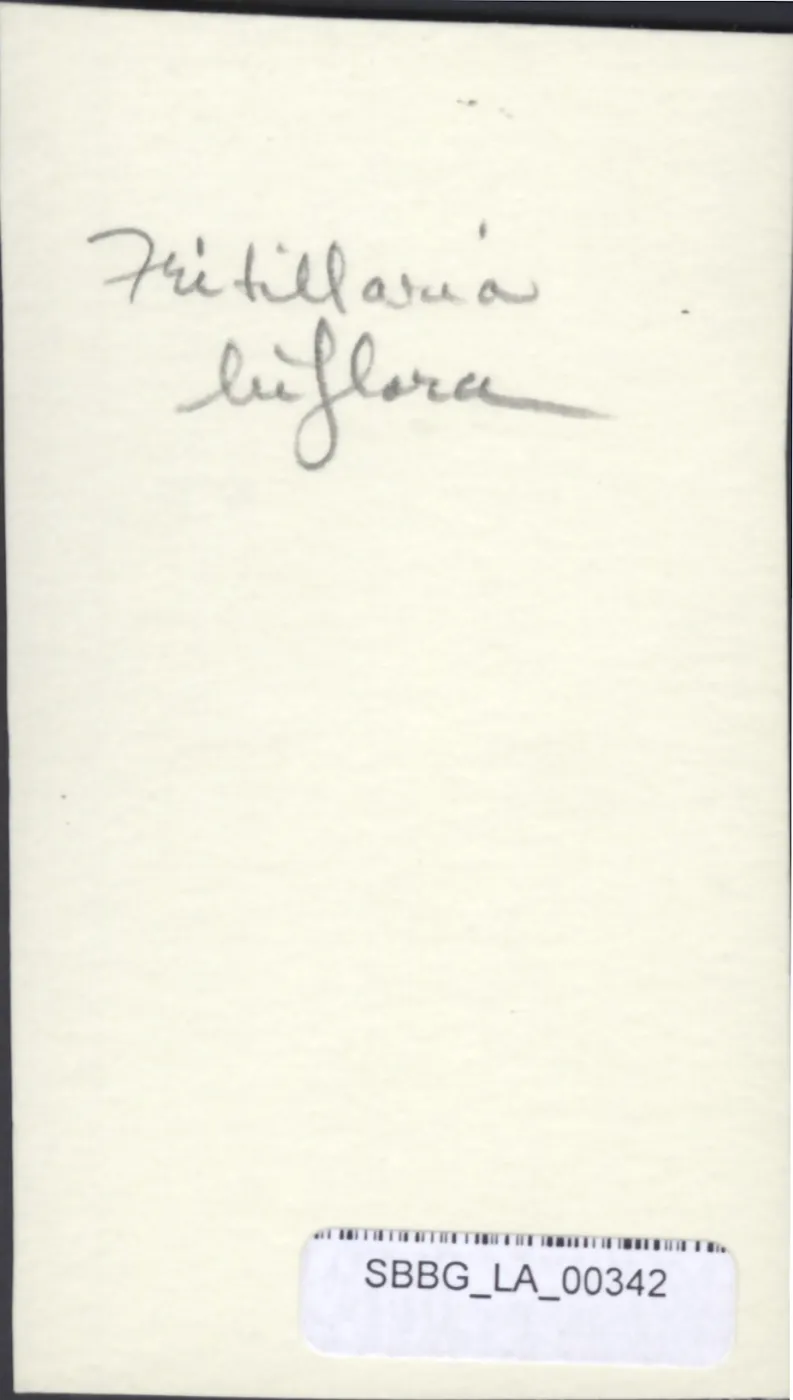SBBG_LA_00342_verso.jpg