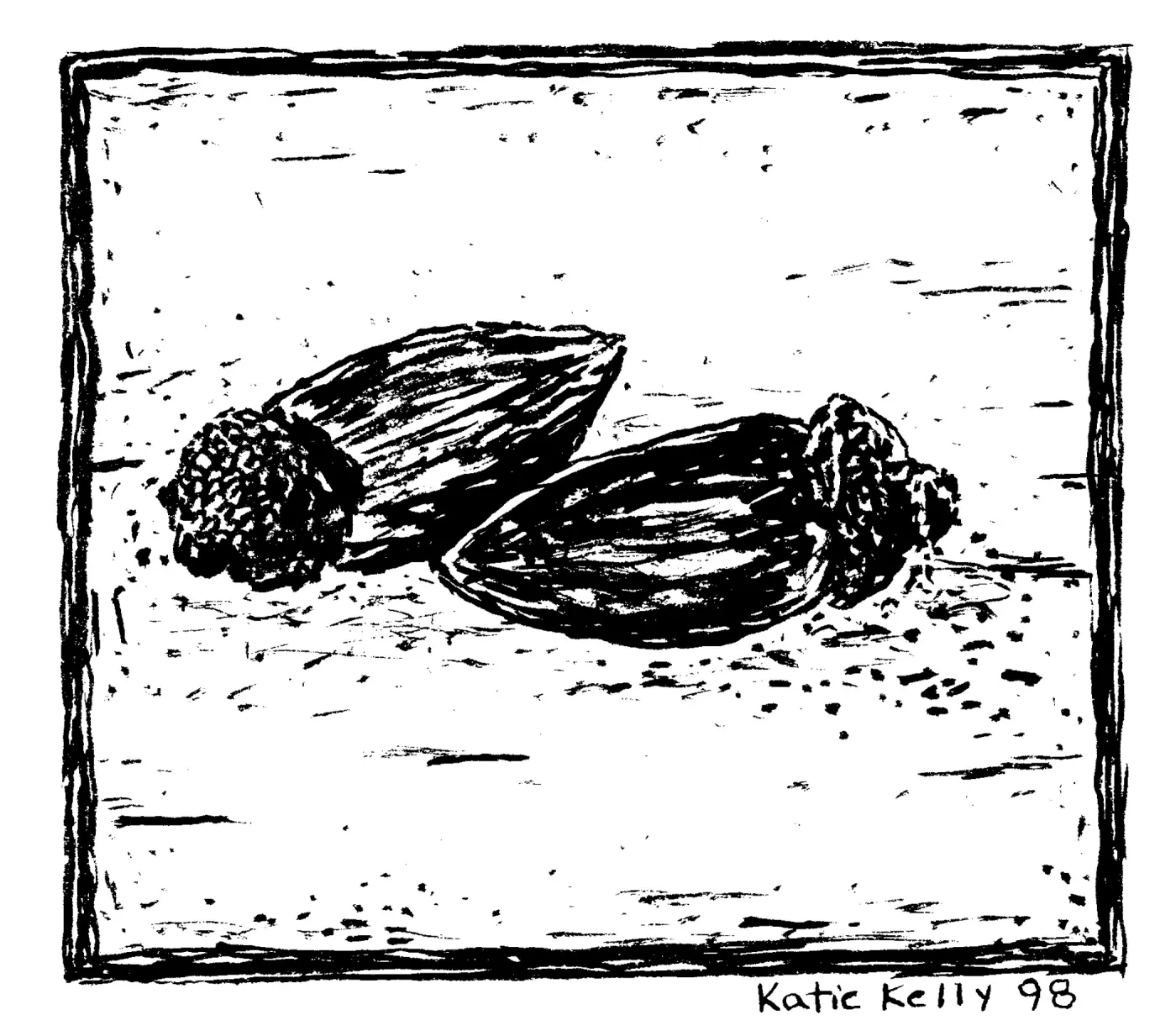 Acorns