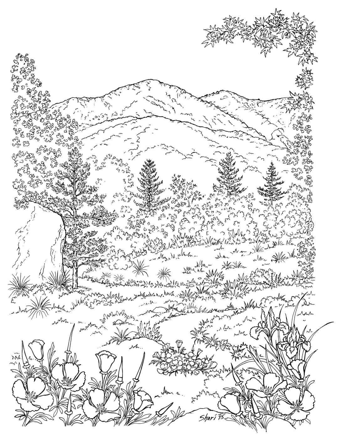 Meadow View