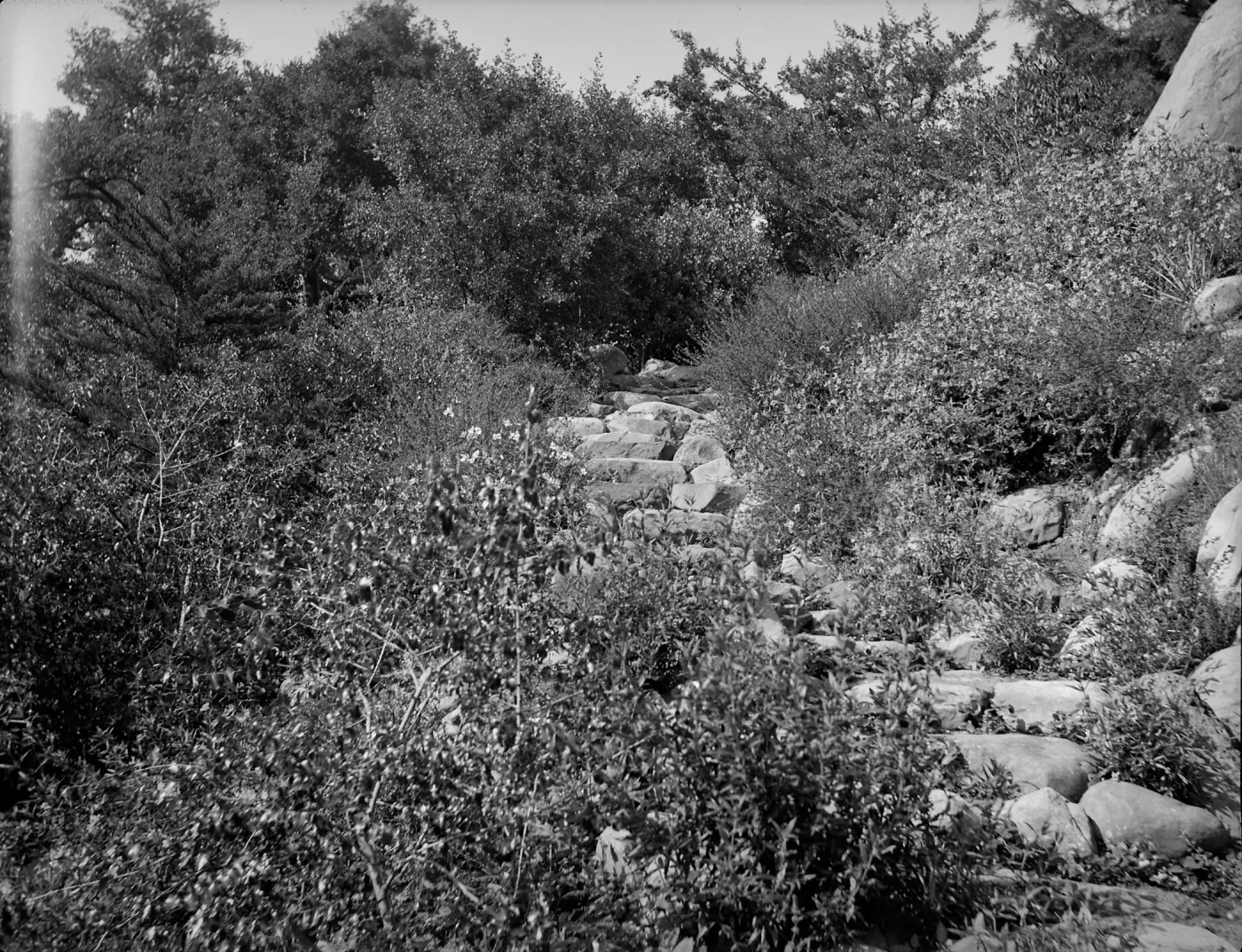 Stone steps in the garden, probably Campbell Trail