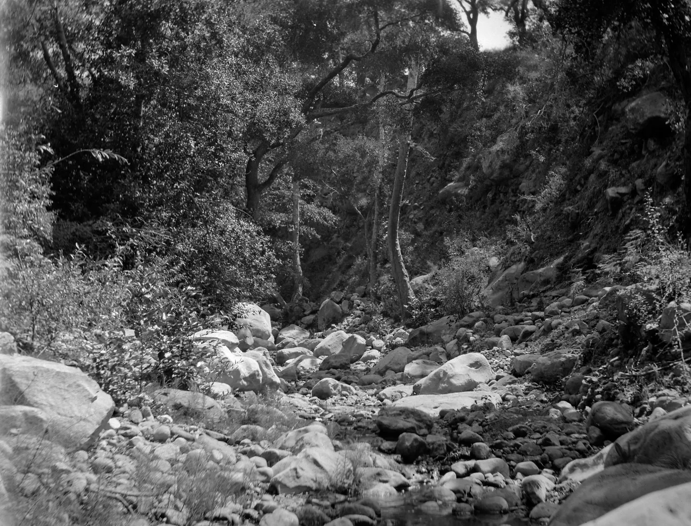 Mission Creek