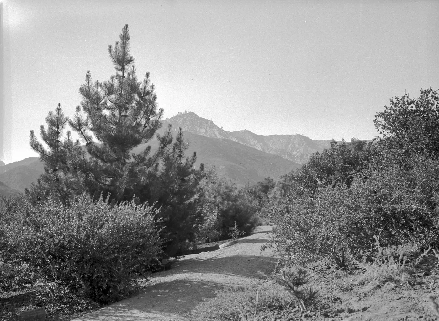 Historic Foothill trail just west of Mission Canyon Road