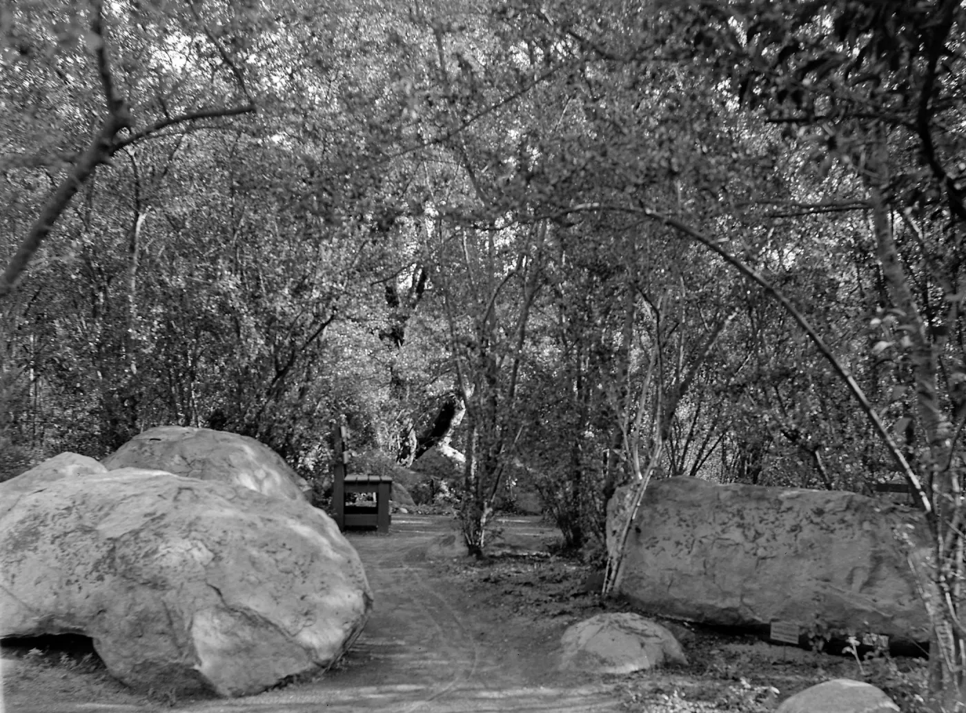 Unknown bench location, probably somewhere in the canyon