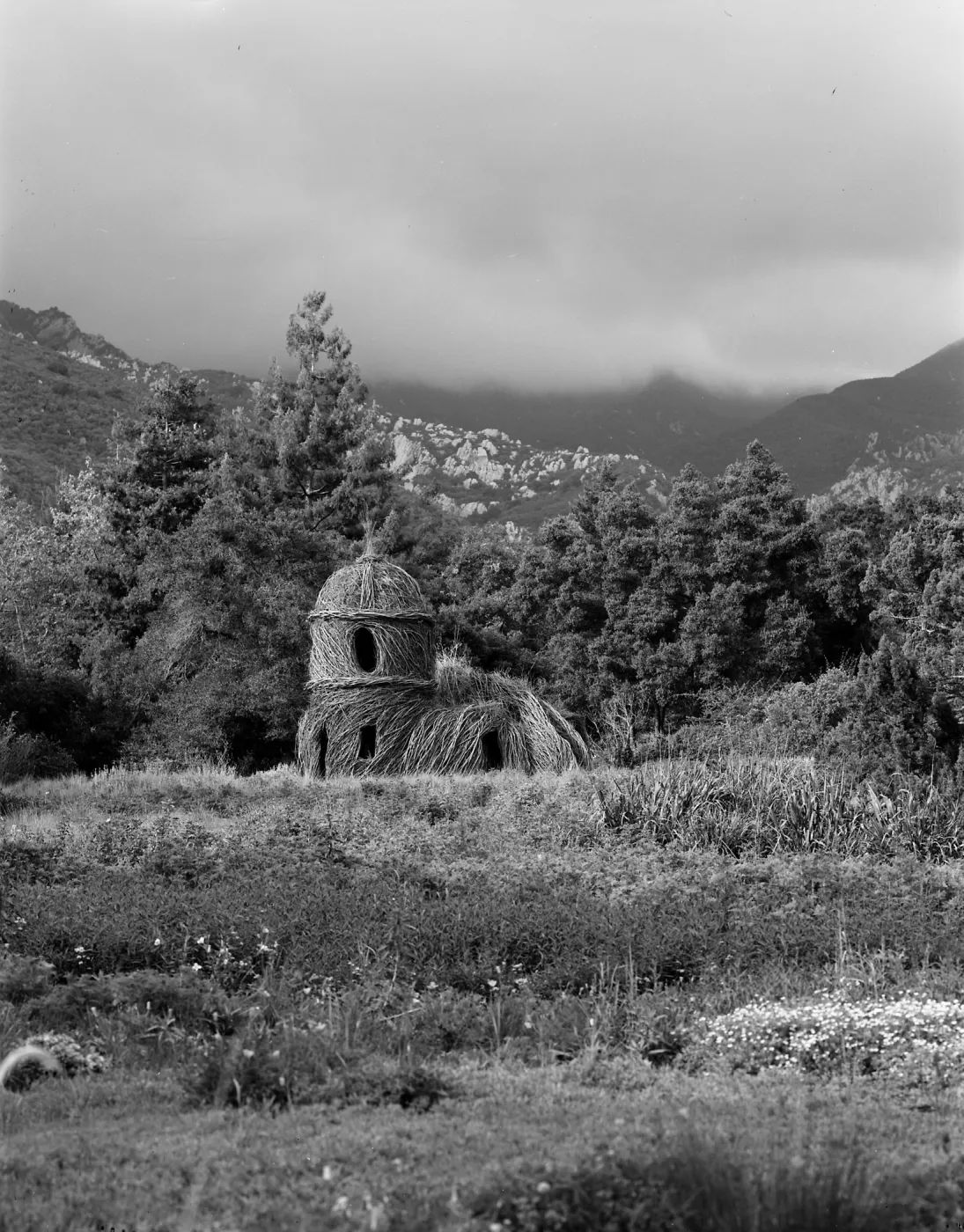 Toad Hall photo by Nell Campbell and Scott McClaine