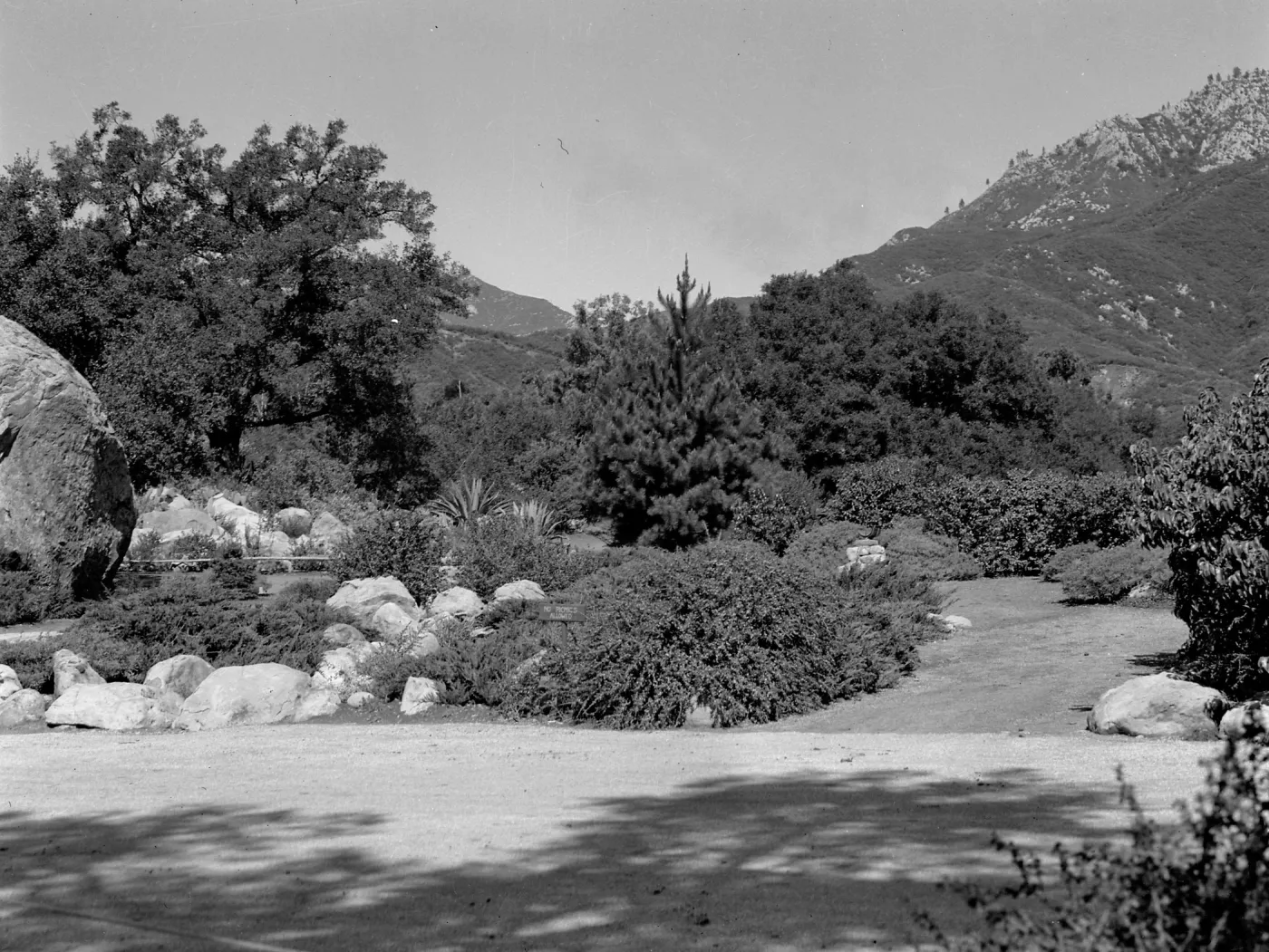 Old entrance road into the Garden