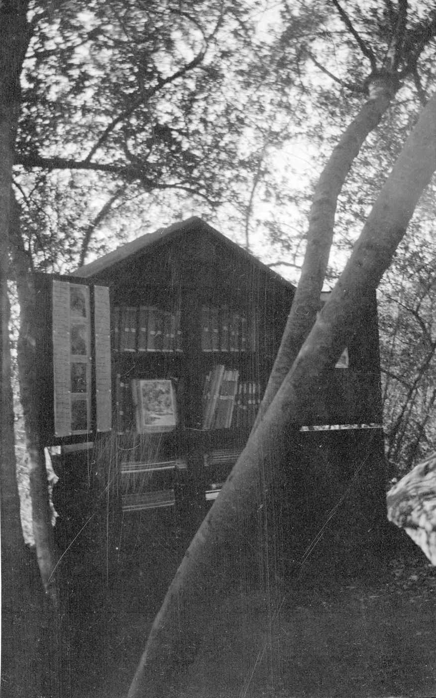 Original library in Meadow Oaks