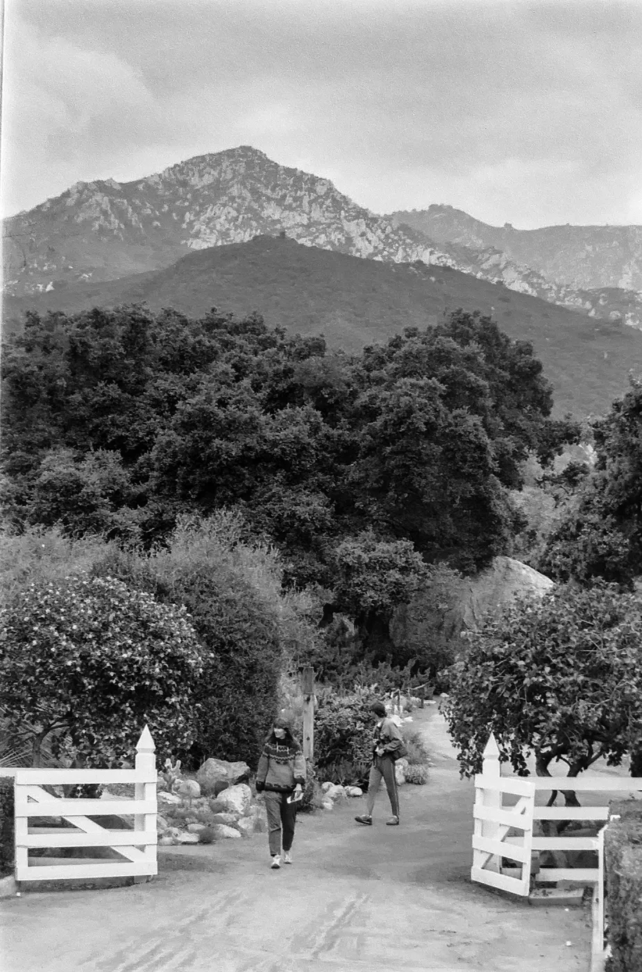 View of Courtyard Gates and Arlington Peak