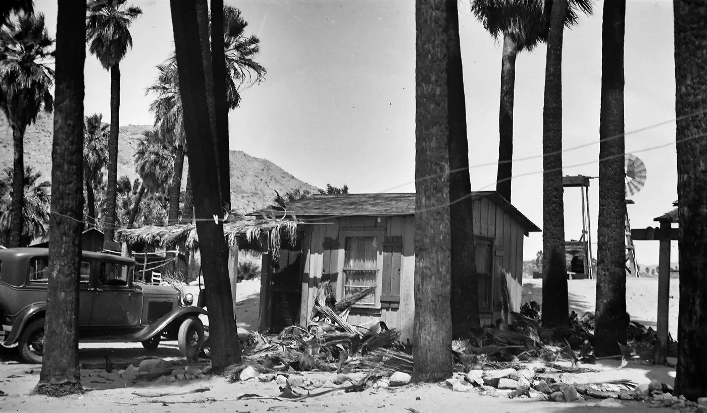 Thousand Palms, palms, auto, building windmill
