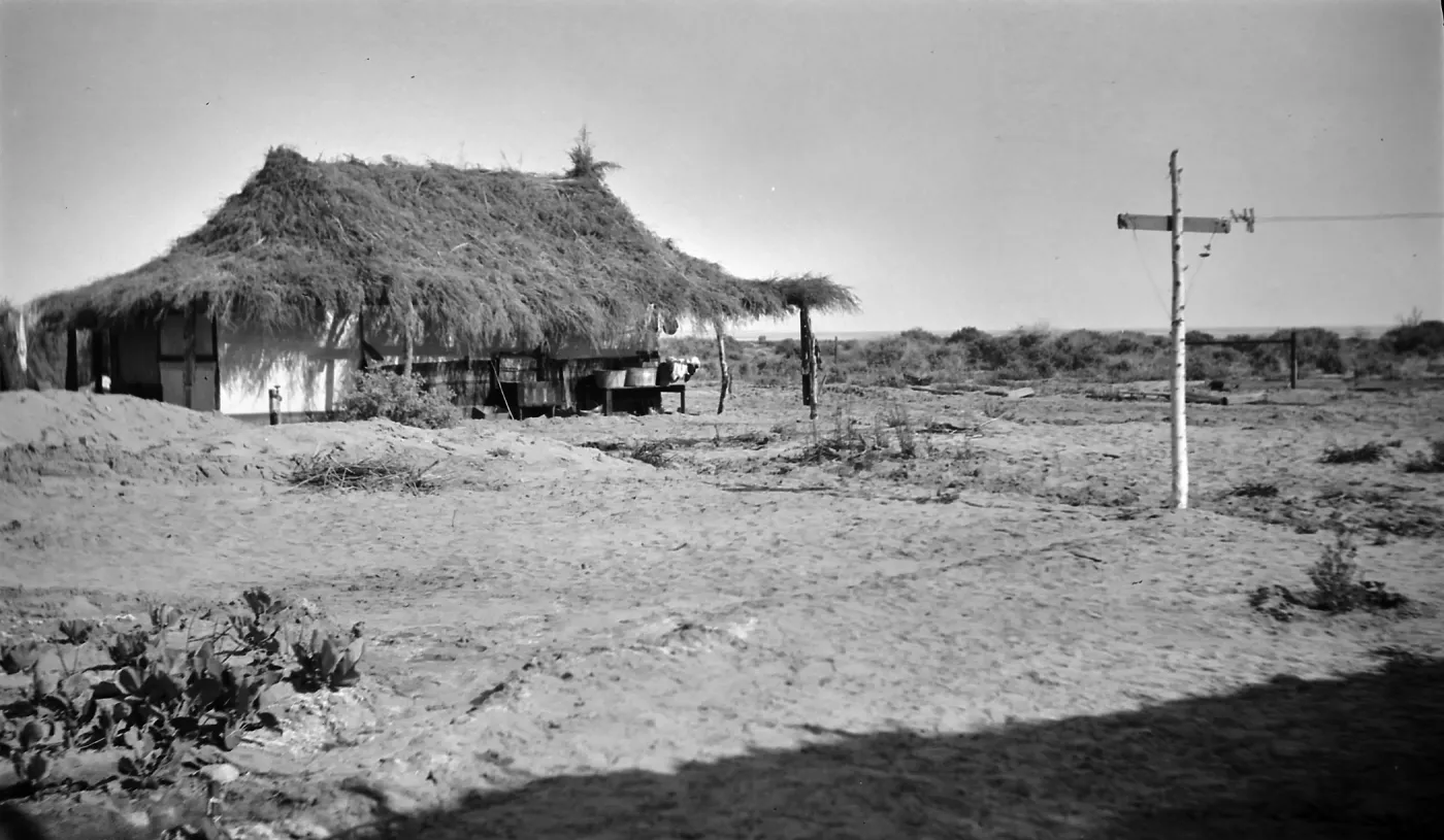 Black and white photograph of a building with a palm frond roof in a desert setting and a telephone pole with a wire on the right side.