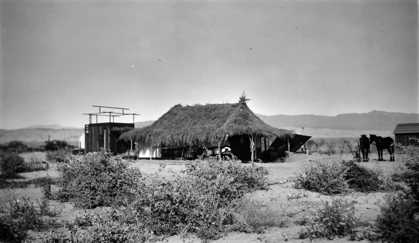 Black and white photograph of a building with a thatched roof against distant hills with two black horses near the door and bushes in the foreground.