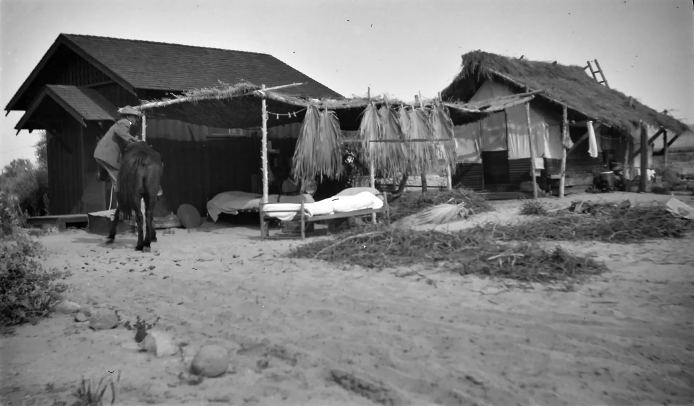Black and white photograph of a small wooden structure with an open-air room containing two cots with white blankets. There are palm fronds hanging from the roof, and a person is dismounting a black horse in front of the building.