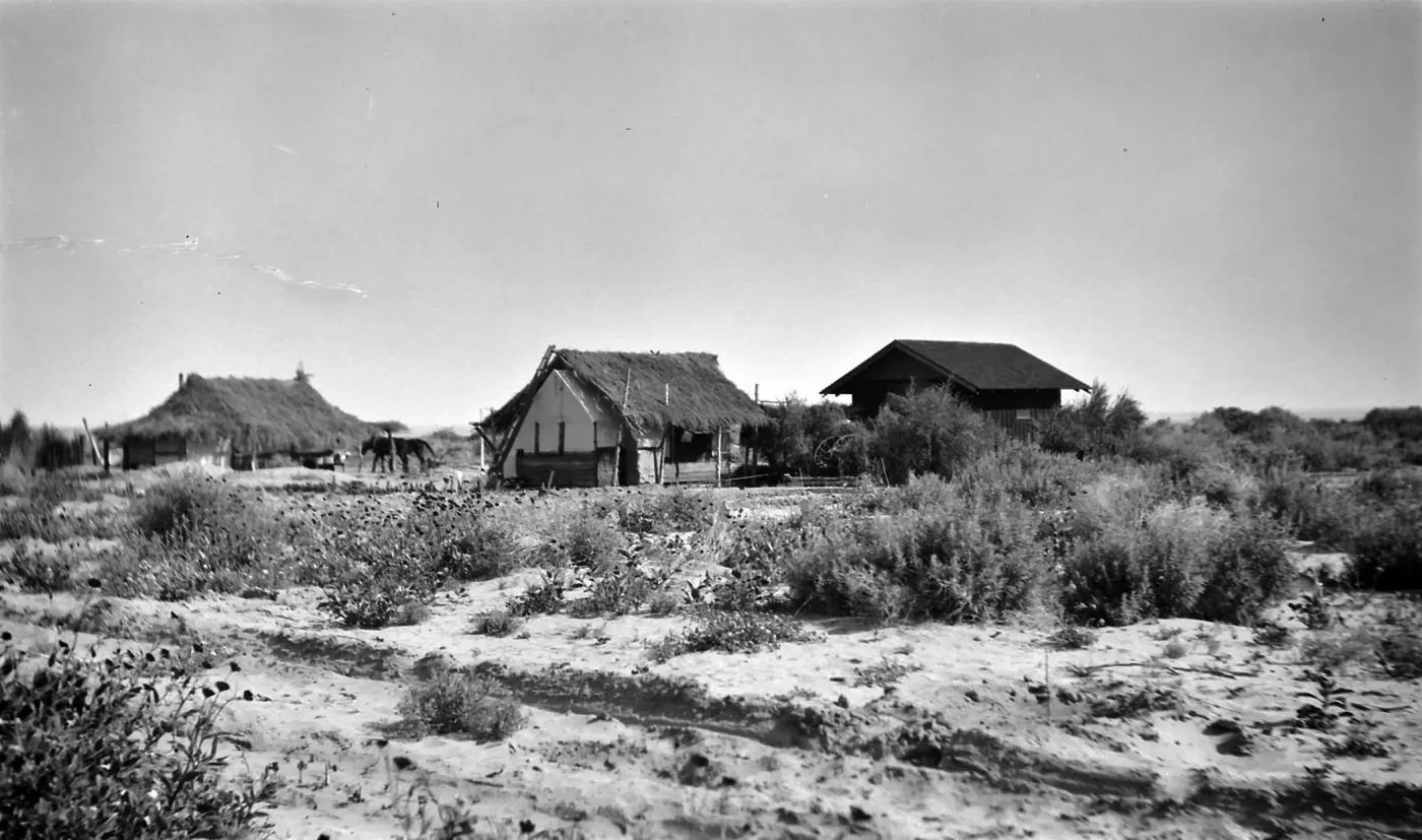 Black and white photograph of a cluster of buildings in a desert landscape with brush surrounding them and a black horse outside the building on the left.