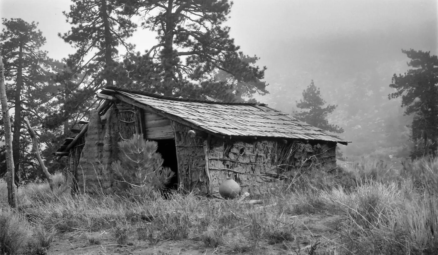 Black and white photograph of a cabin in the fog surrounded by pine trees with a mountainside in the background.