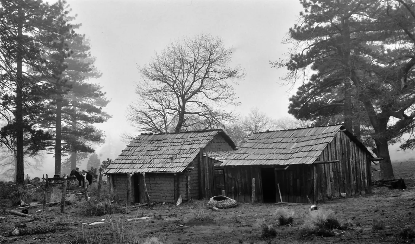 Black and white photograph of two small wooden houses in a foggy forest setting, with a horse in a fenced enclosure at the side.