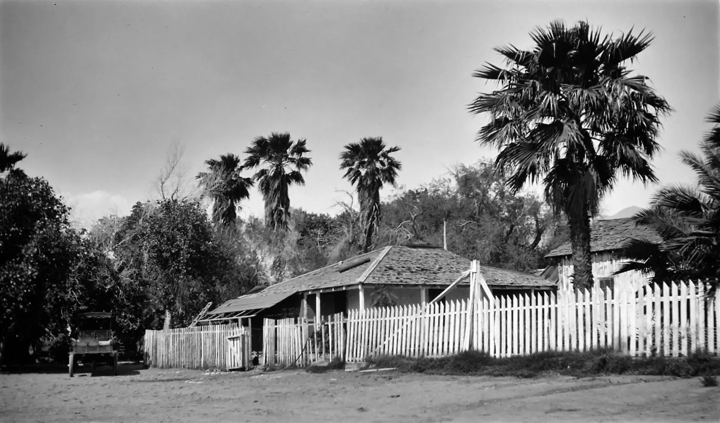 Black and white photograph of a one-story building with a white wooden fence and trees and palms around it.