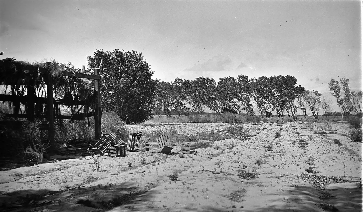 Black and white photograph of a dirt field with a row of trees being blown by the wind in the background and a wooden structure with several overturned crates on the left side.