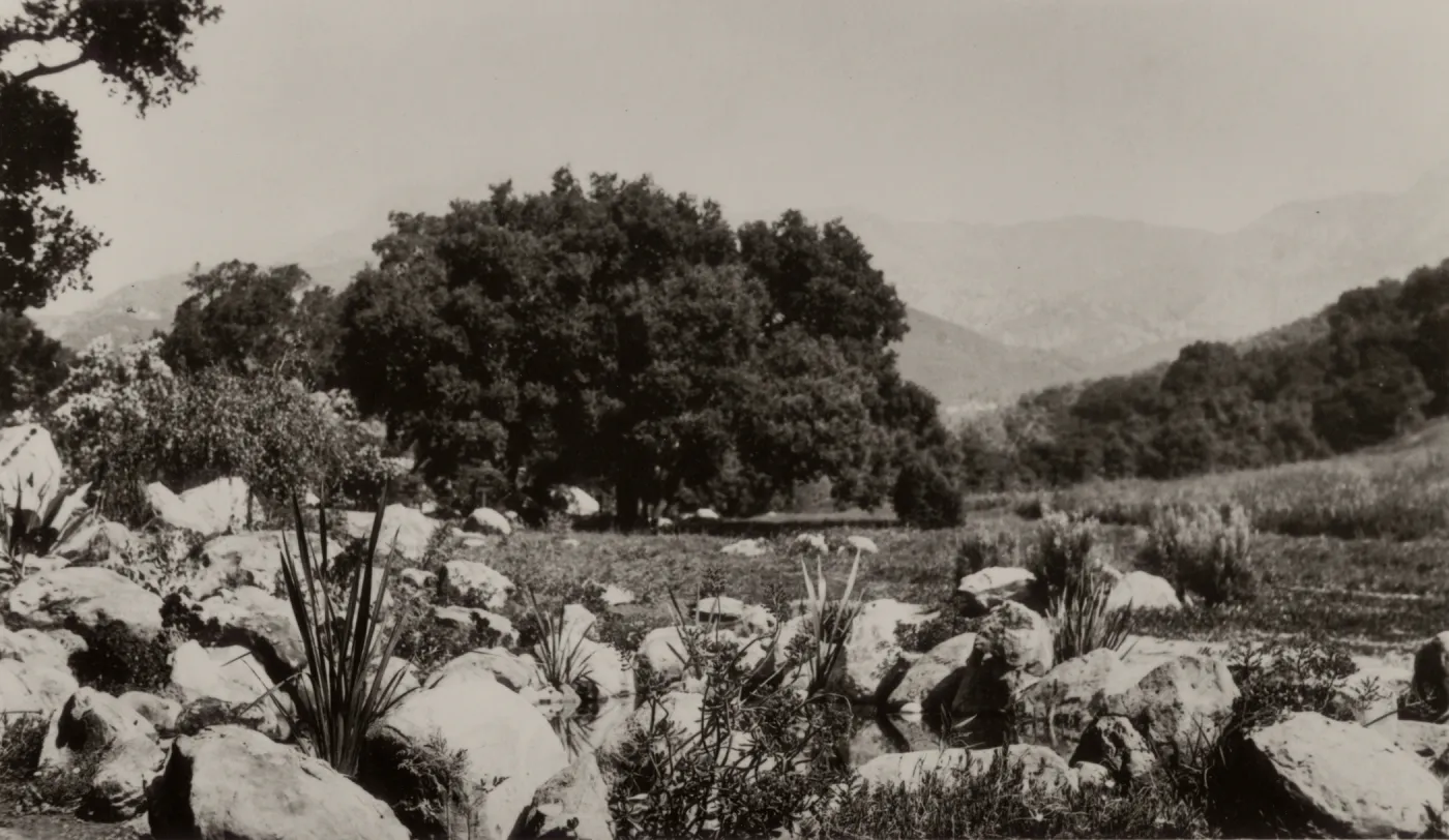 Early view of Blaksley Botanic Garden circa 1920s, note small pool in foreground