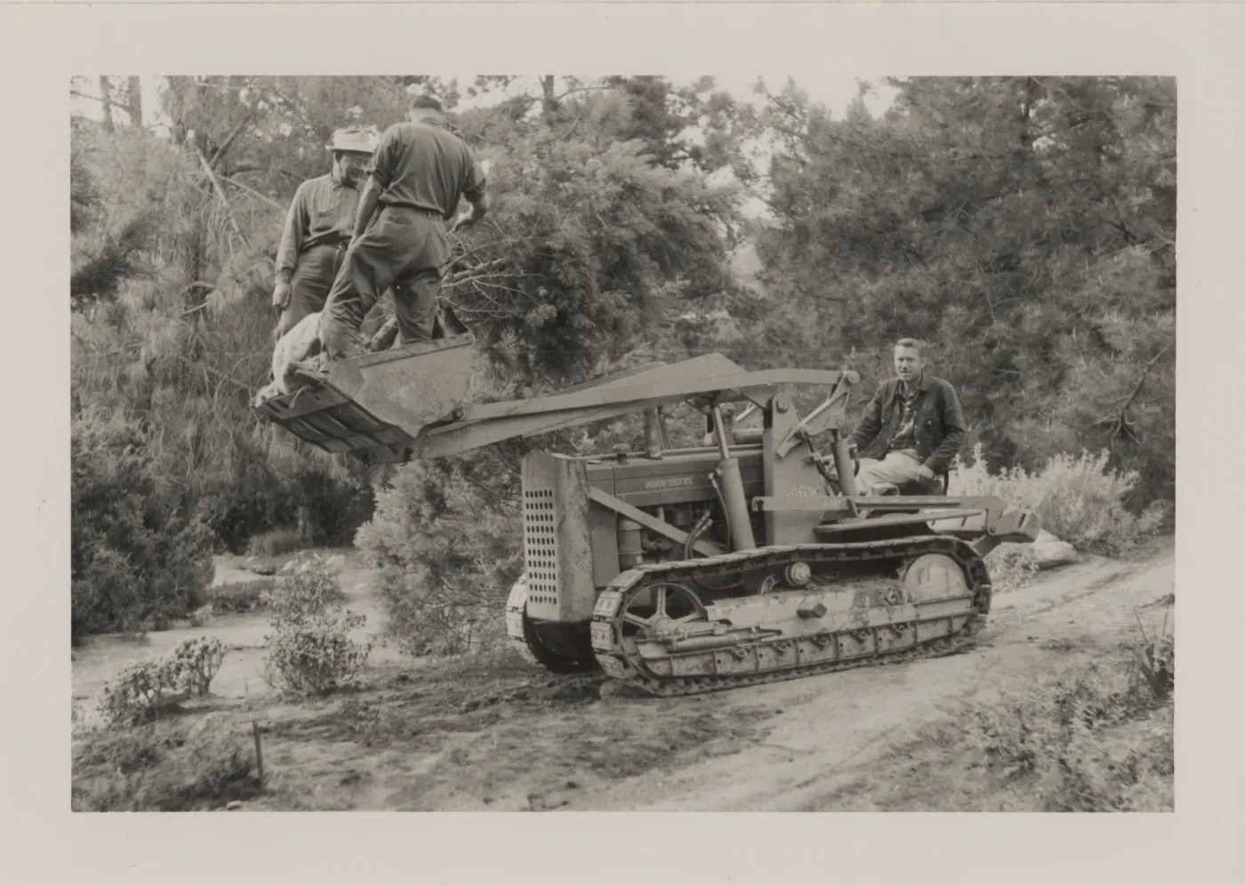 Moving a tree with tractor