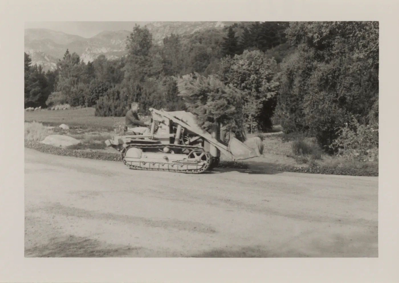 Grounds work, moving a tree with tractor, 1958
