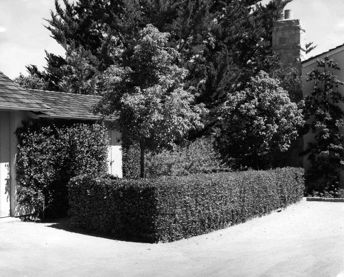 Courtyard view, lemonade berry hedge and espalier, before 1963