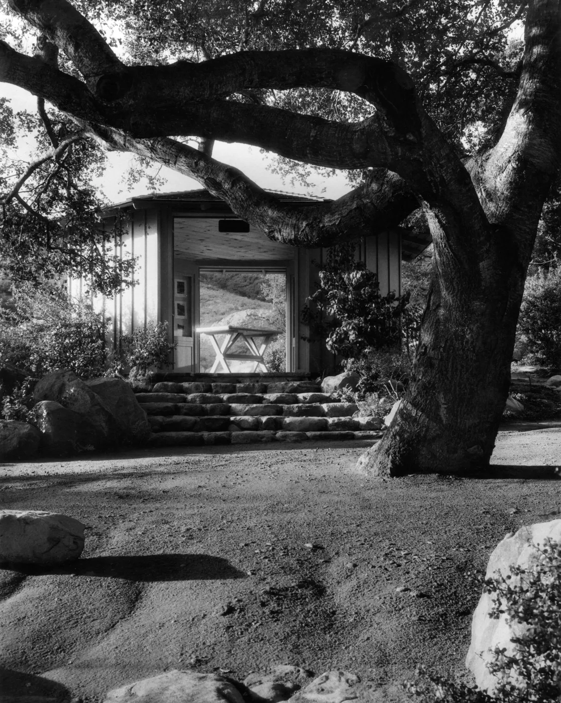 SBBG Information Kiosk (Coastal Live Oak), ï¿½ Josef Muench