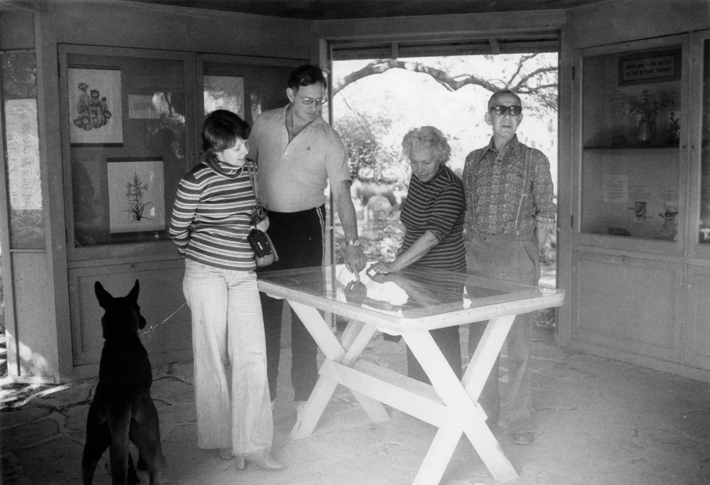 SBBG Information Kiosk (interior), © Maria Ealand