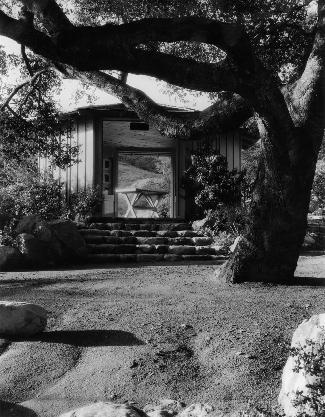 SBBG Information Kiosk (Coastal Live Oak), ï¿½ Josef Muench