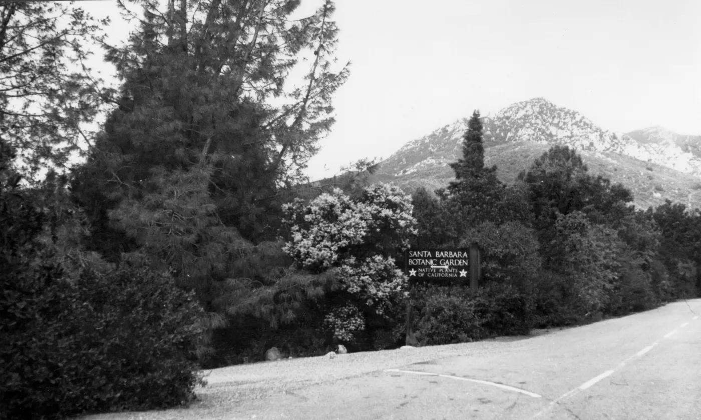 'Santa Barbara Botanic Garden' new wood sign at Entrance to SBBG, 1962-1965