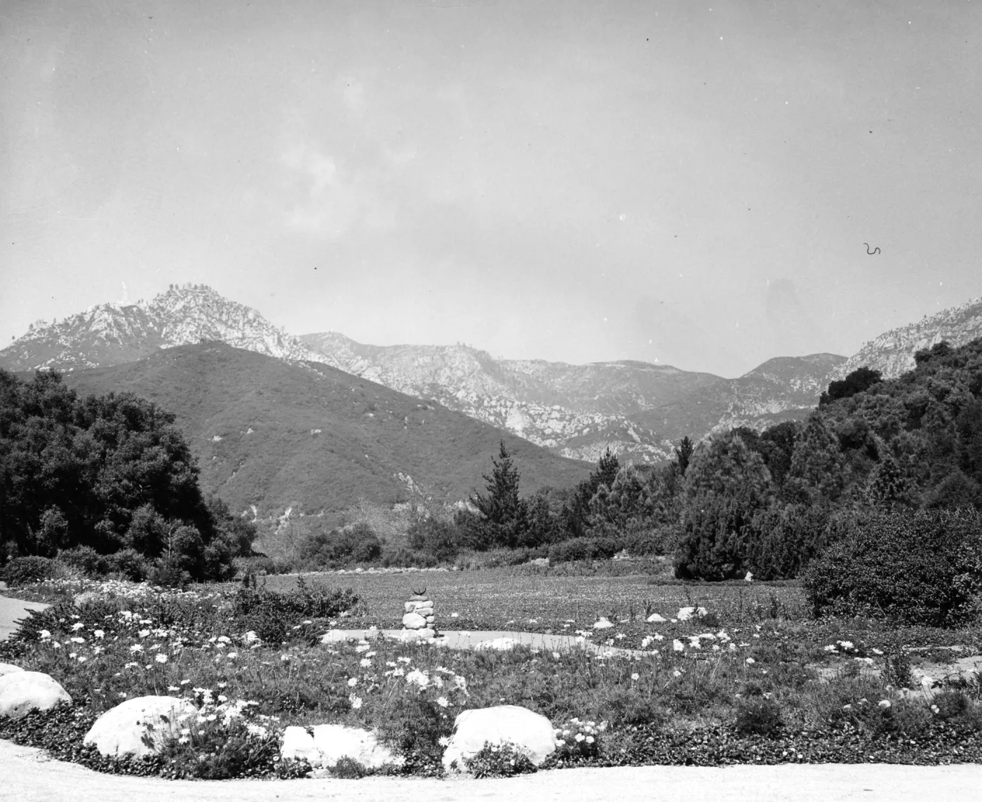 SBBG Meadow with Sundial
