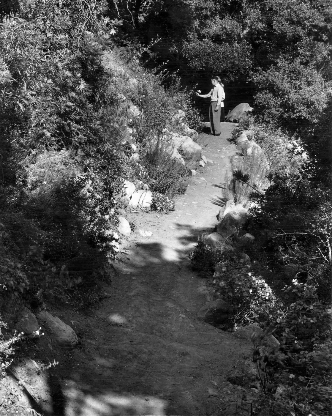 visitors on SBBG Arroyo Trail to lower Mission Creek crossing