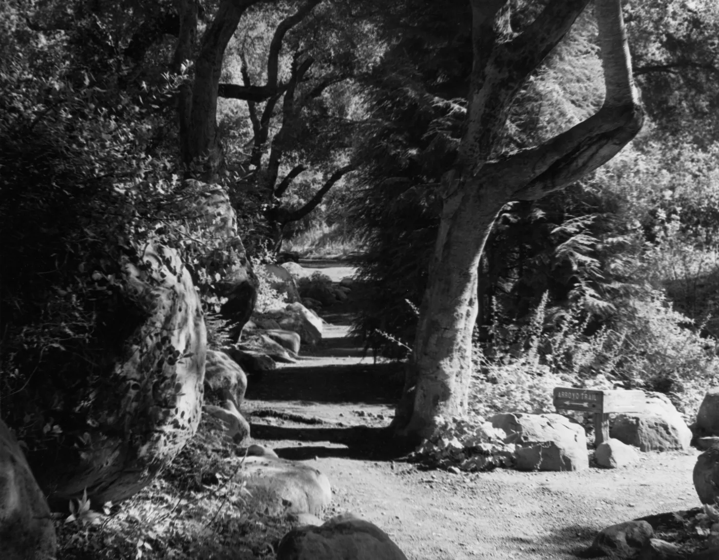 SBBG Arroyo Trail