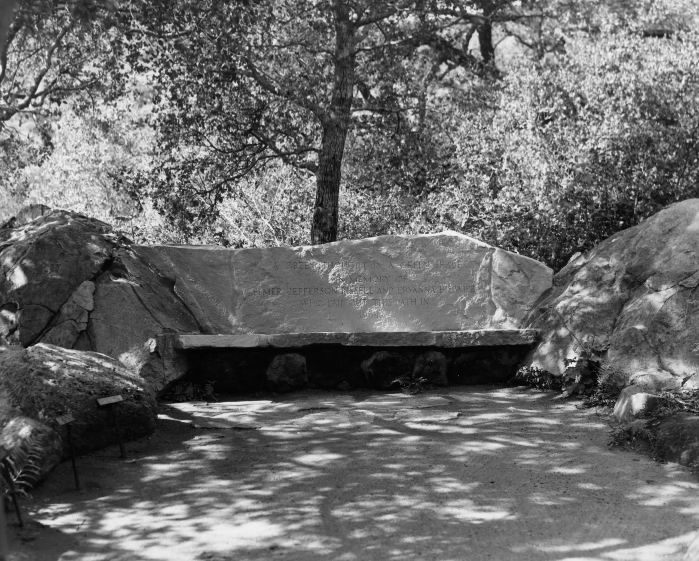 the Bissell Bench, stone bench under the Meadow Oaks