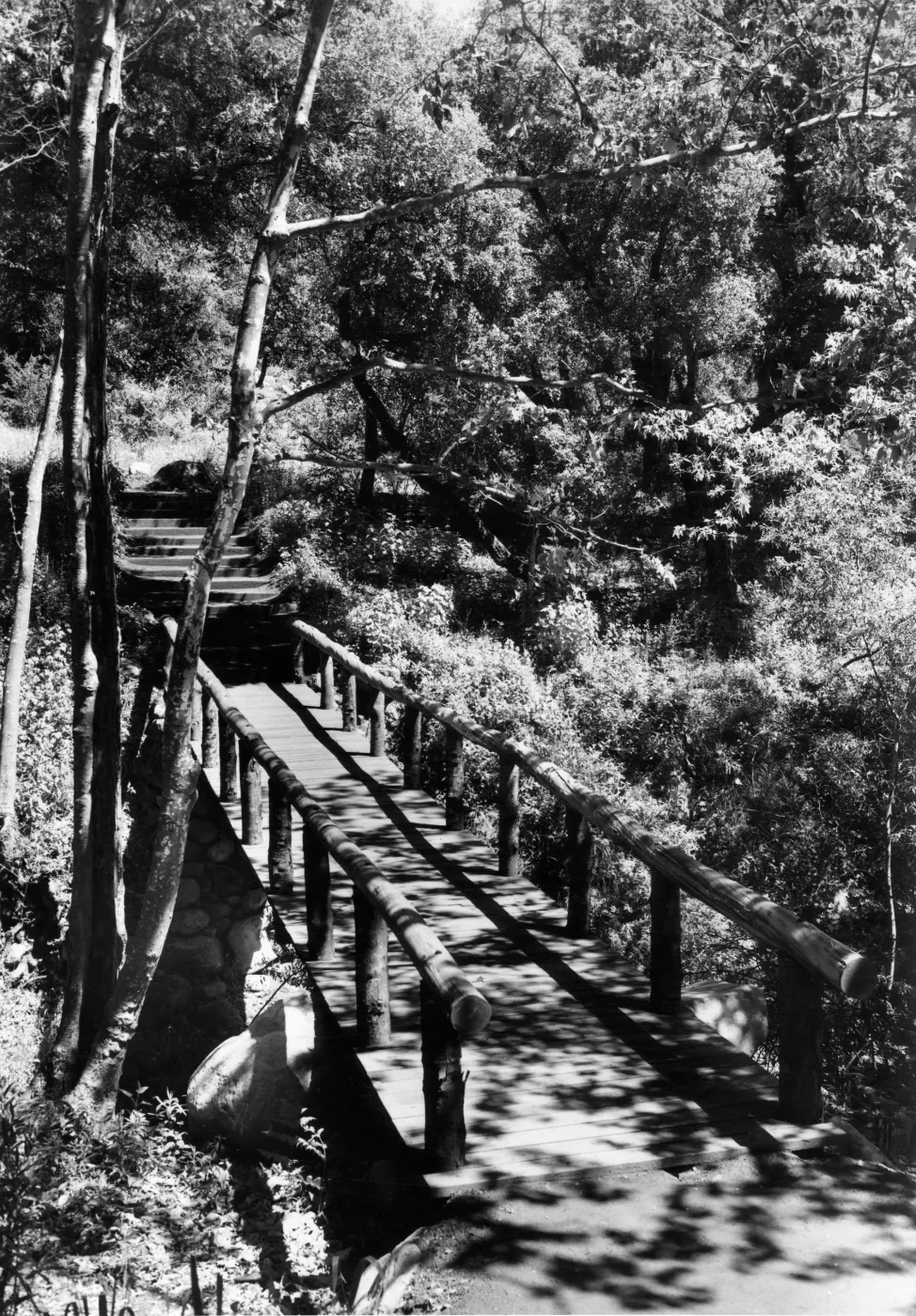 A rustic bridge spans Mission Creek at the foot of Campbell Trail in the Santa Barbara Botanic Garden, © Josef Muench