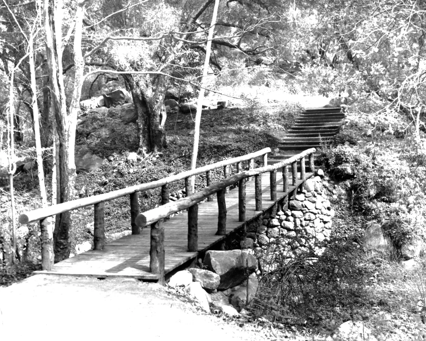 SBBG Campbell Bridge, Mission Creek