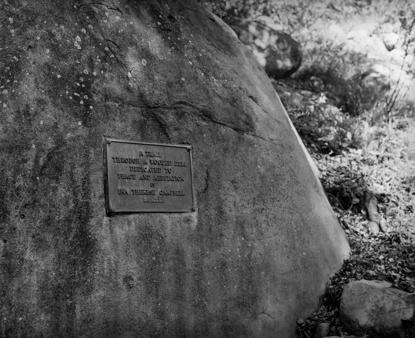 Dedication plaque, Ina Therese Campbell, Campbell Trail, SBBG