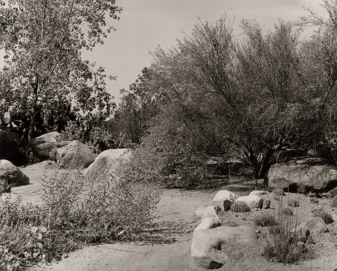 Desert Section, SBBG