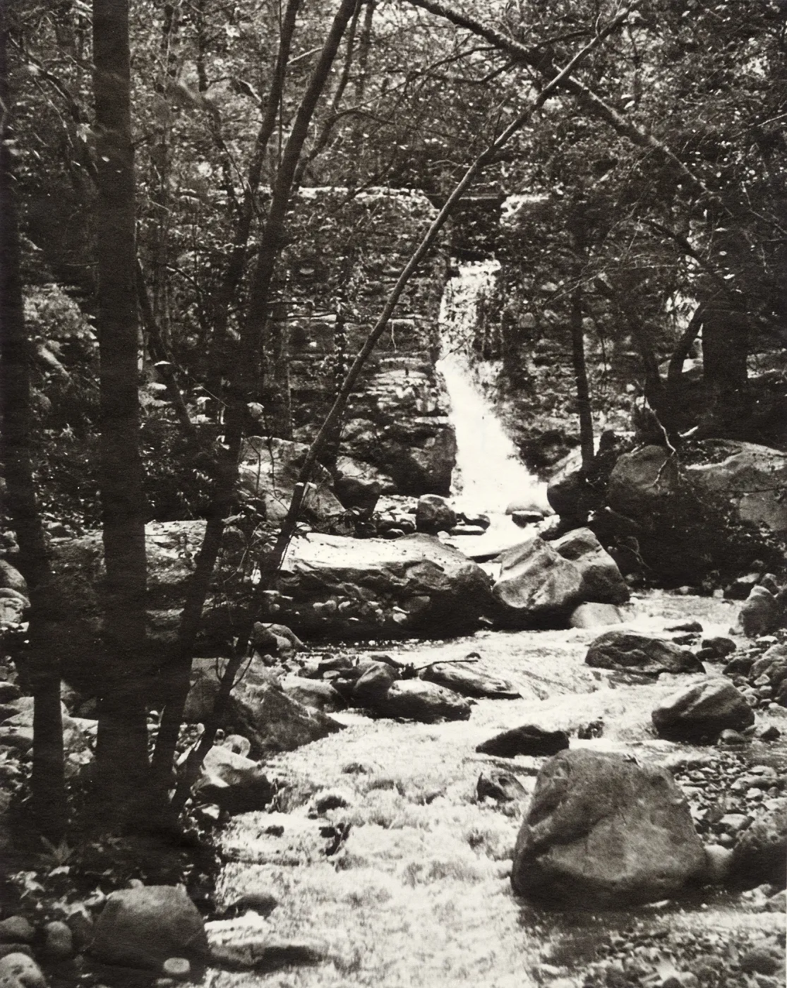 Mission Creek below Old Mission Dam, SBBG