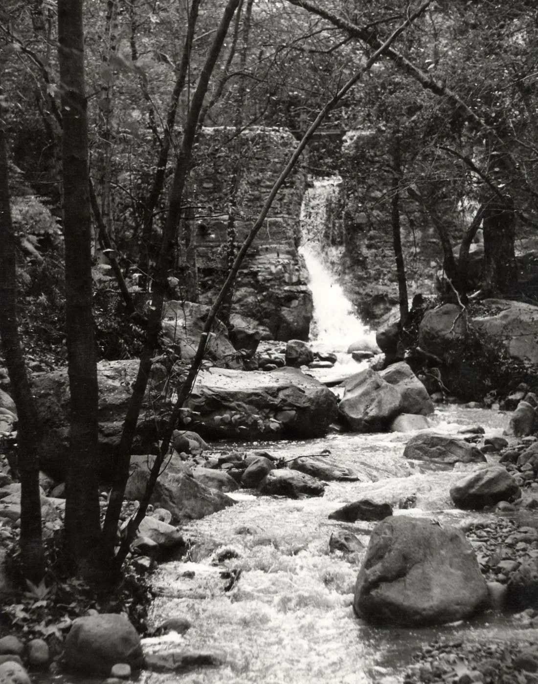 Mission Creek below Mission Dam, SBBG