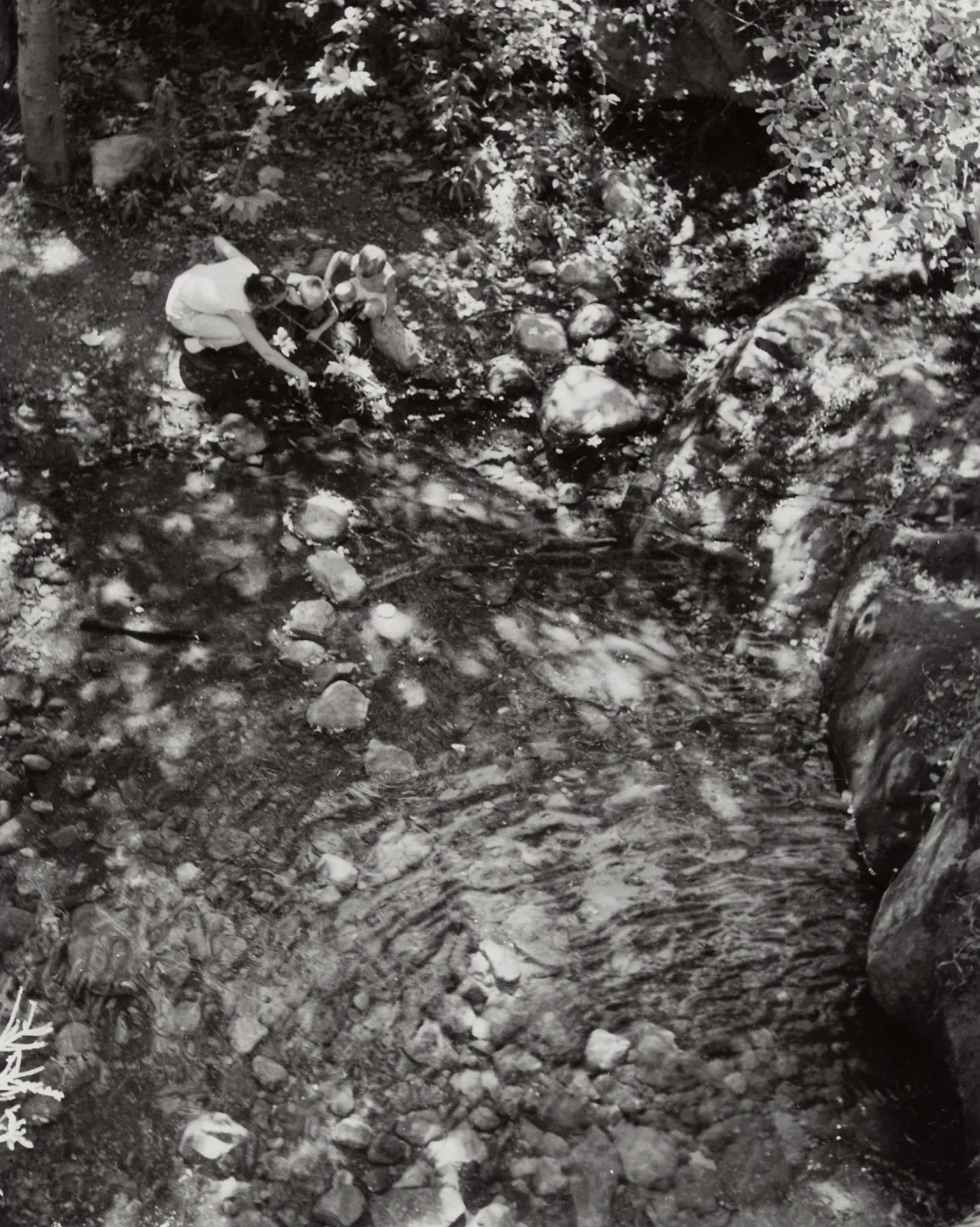 Pool below Mission Dam