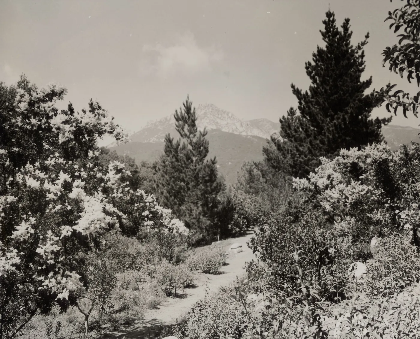 Foothill Trail