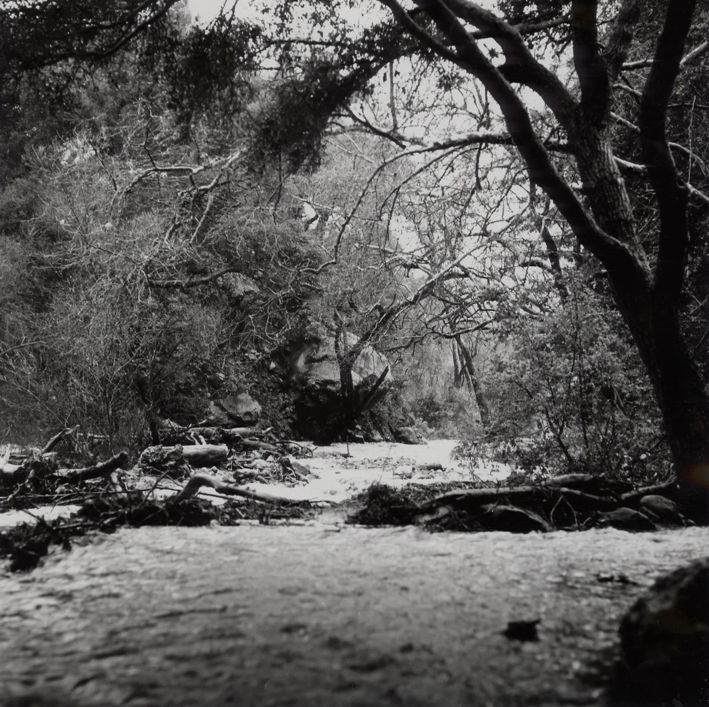 Mission Creek above the Mission Dam, Spring 1969