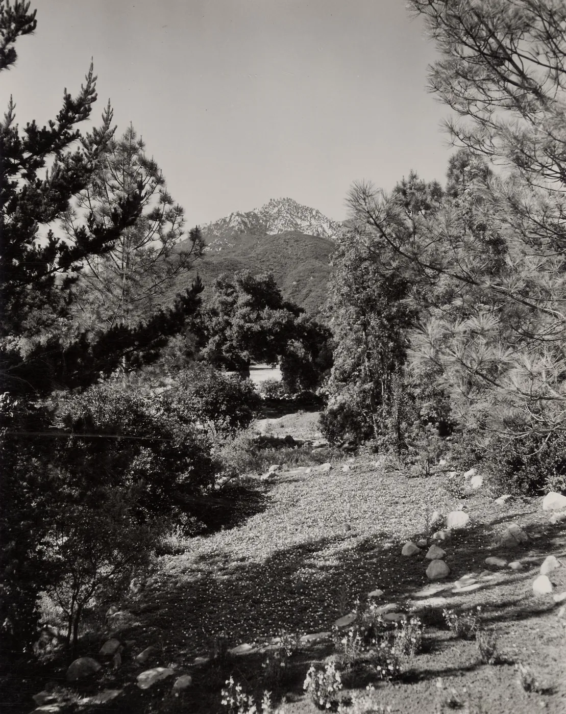 Island Section (historic), ©Josef Muench