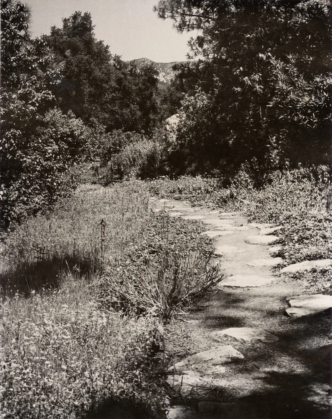 Island Trail (historic)