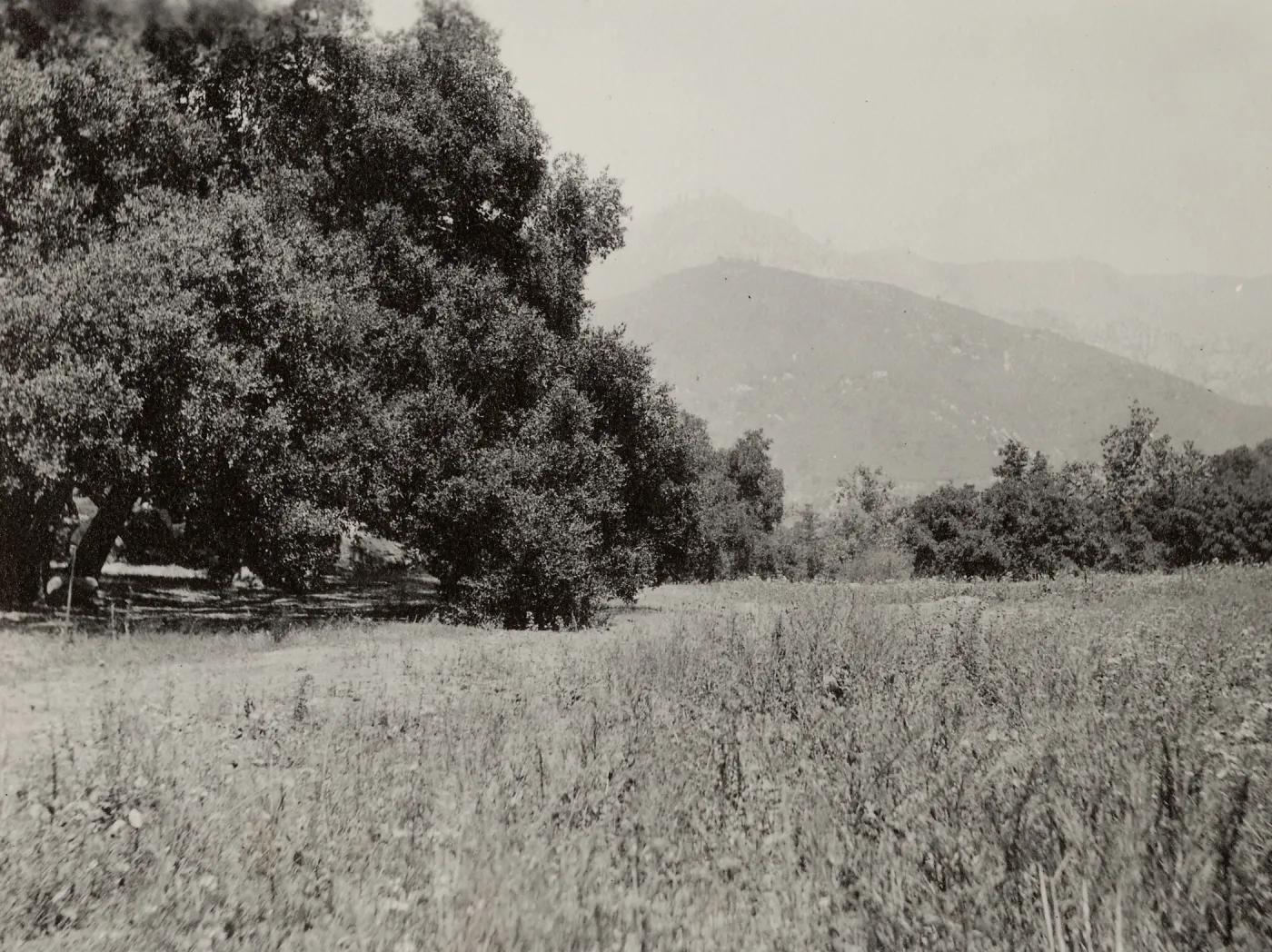 Garden site in Mission Canyon, Meadow and Meadow Oaks, circa 1926